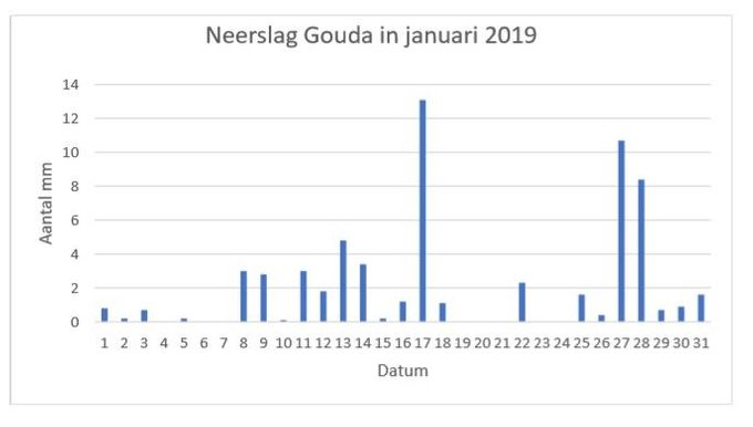 Totale neerslag in januari 2019 : 63 mm